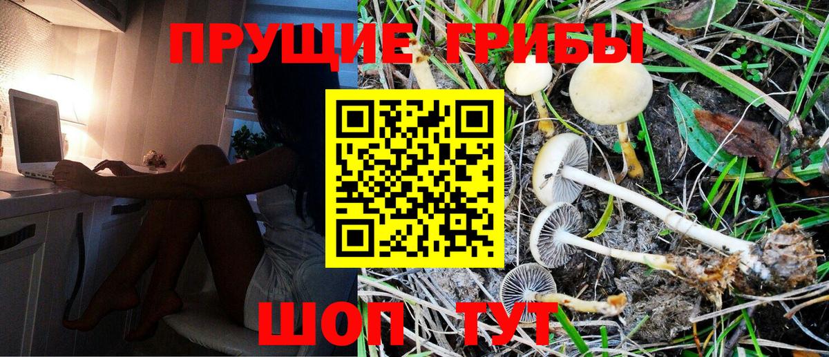 Галлюциногенные грибы Magic Shrooms  Галлюциногенные грибы GOLDEN TEACHER  Вход с VPN  где купить наркоту  Щёлково 