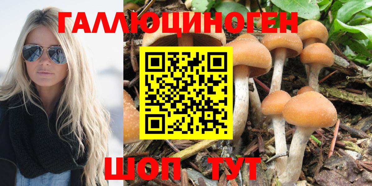 Галлюциногенные грибы GOLDEN TEACHER Щёлково